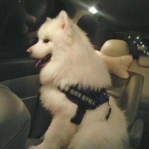 亚洲AV永久无码精品三区在线
